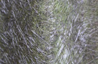 Scowles fibreglass roof work